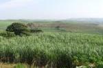 Half developed land