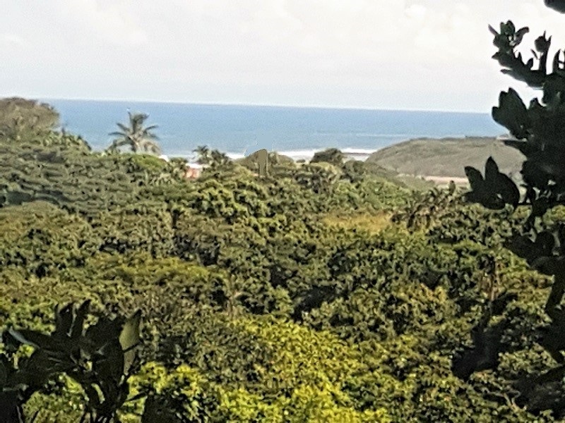 SOUTH COAST FARMS Southern KZN Farms & Smallholding sales